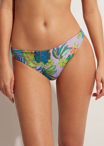 Calzedonia Brasilia Bikinibroekjes Dames Paars | BE1304UT