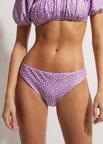 Calzedonia Cipro Bikinibroekjes Dames Paars | BE1360AP