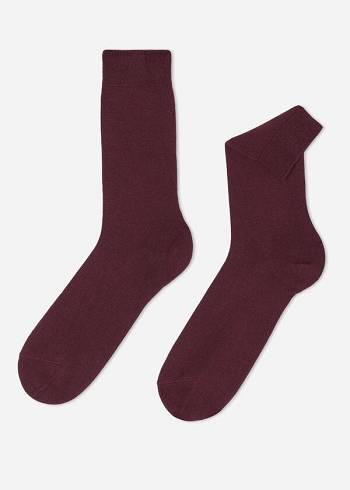 Calzedonia Crew with Cashmere Sokken Heren Bordeaux | BE2841AP