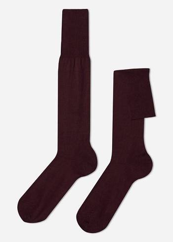 Calzedonia Lisle Thread Long Sokken Heren Bordeaux | BE2761LH