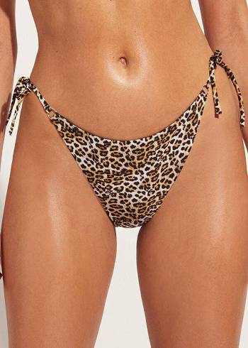 Calzedonia String Malindi Bikinibroekjes Dames Bruin | BE1603ZG