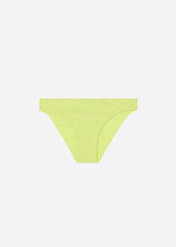 Calzedonia Bangkok Bikinibroekjes Dames Groen | BE1293CE