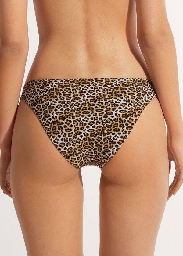 Calzedonia Malindi Bikinibroekjes Dames Bruin | BE1499ZG