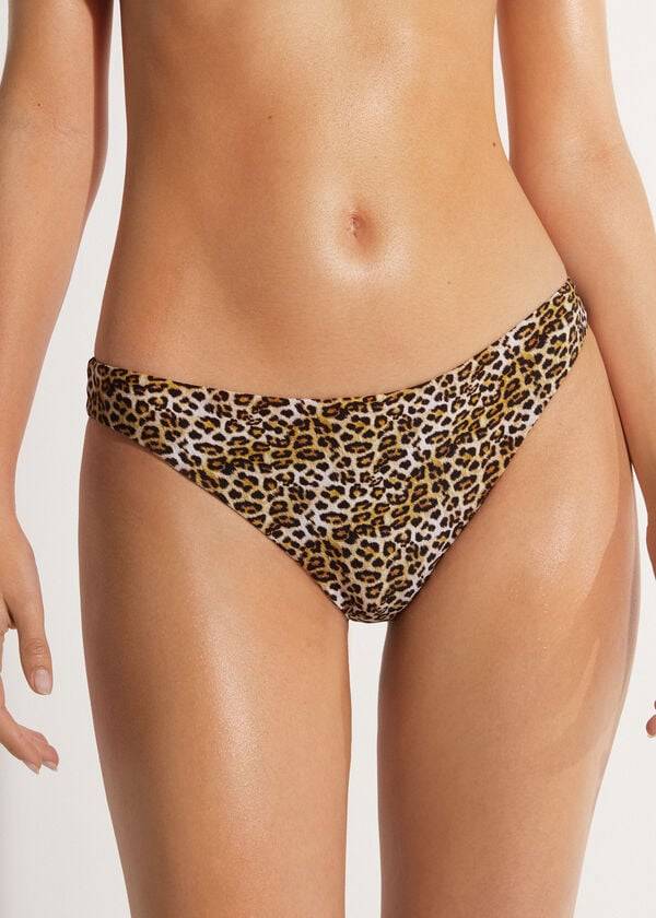 Calzedonia Malindi Bikinibroekjes Dames Bruin | BE1499ZG